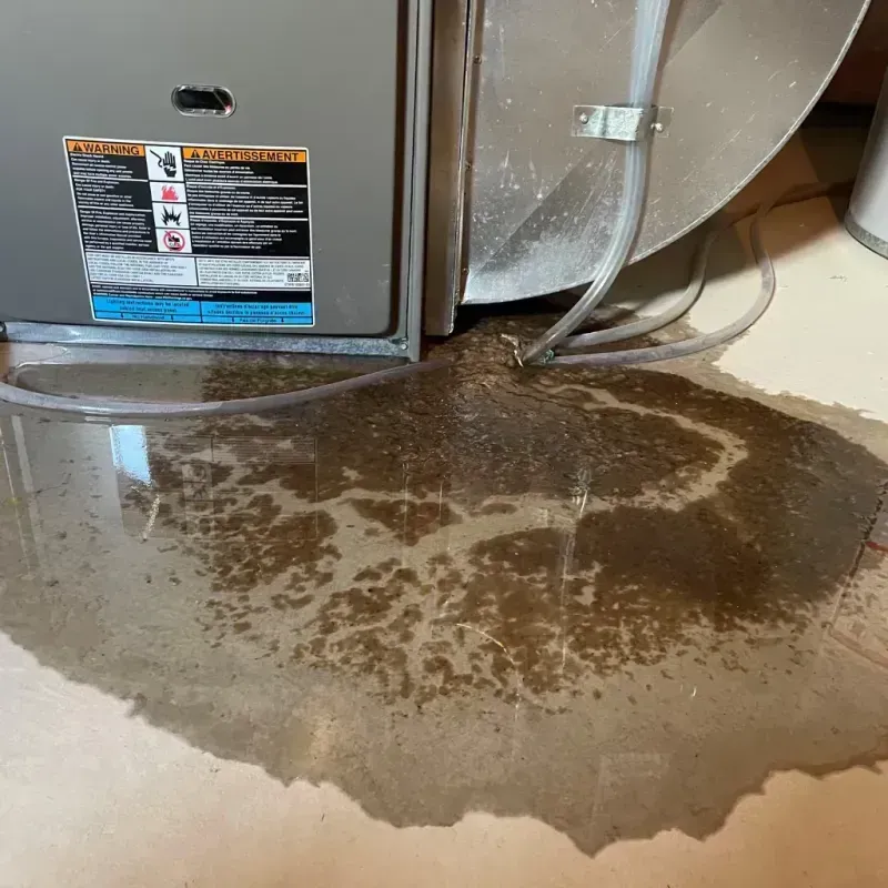 Appliance Leak Cleanup in Guerneville, CA